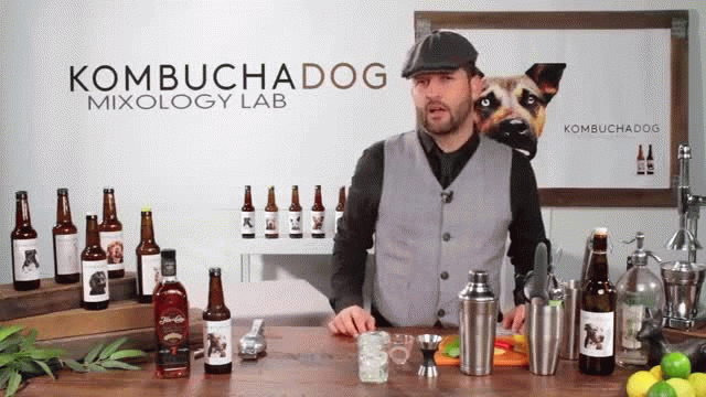 Kombucha Dog Mixology Lab - Mojito Cocktail by Josh Curtis