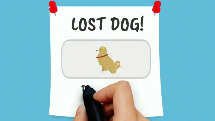 Help I Lost My Dog! Help I Lost My Dog!