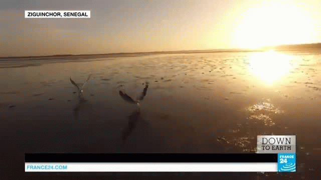 Senegal: Lighting the way for off-grid communities Senegal: Lighting the way for off-grid communities