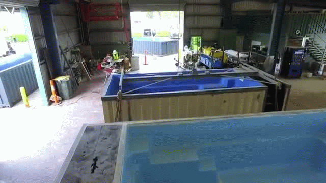 Shipping Container Pools Shipping Container Pools
