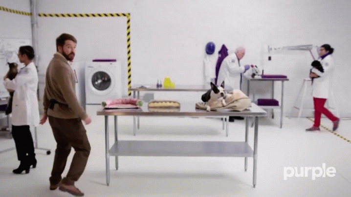 Purple Pet Bed - Scientific Comfort for Your Dog, Cat, Whatever...