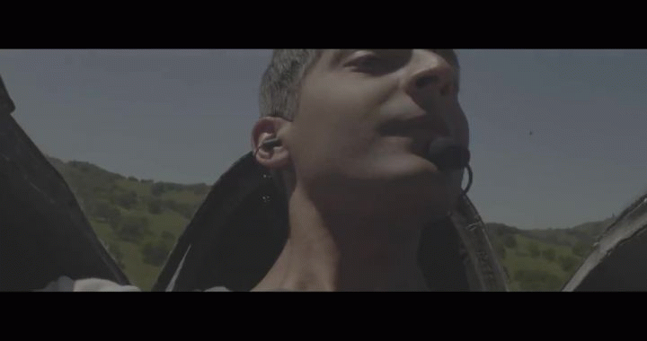 BlackFly - Flight BlackFly - Flight