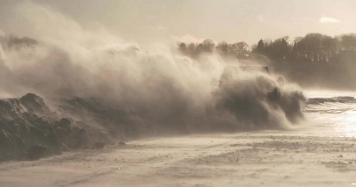 Niccum Docks Snow Plowing Niccum Docks Snow Plowing