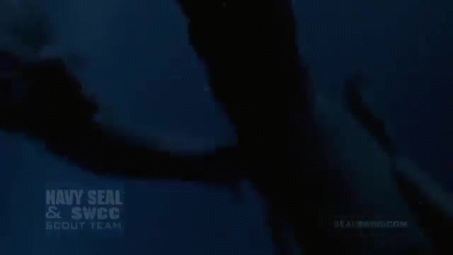 US Navy SEALs, they are the warriors who do it all.