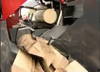Palax Power100S Firewood Processor Palax Power100S Firewood Processor