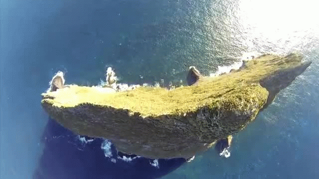 Awesome Wing Suit Flight!