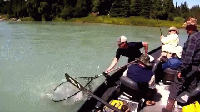 Soaring Eagle Fishing and Adventures