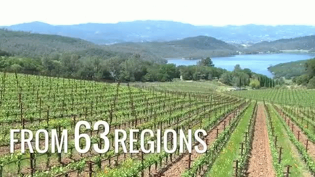 Wine Spectator's Top 10 of 2015 Reveal
