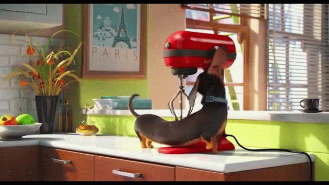 The Secret Life of Pets-Trailer The Secret Life of Pets-Trailer