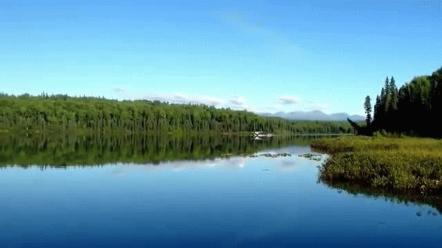 Beautiful Landing-Super Cub-Alaska Beautiful Landing-Super Cub-Alaska