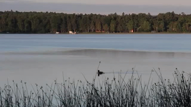 Two Inlets Resort-Park Rapids MN