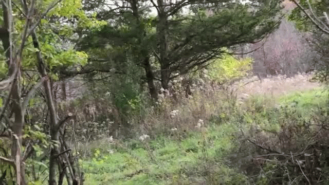 Boom or Bust 2015 Deer Hunt