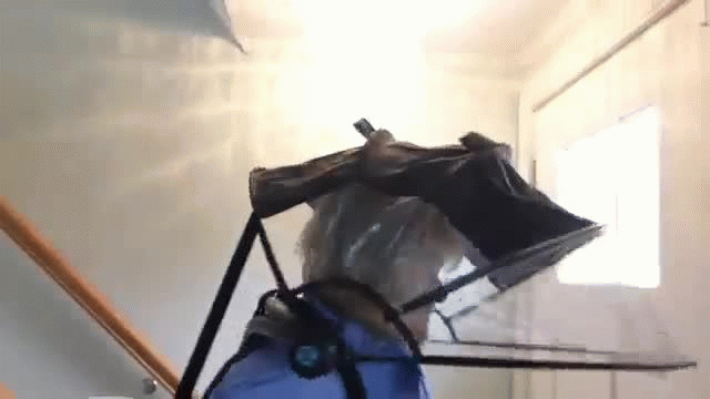 Meet Nubrella Meet Nubrella