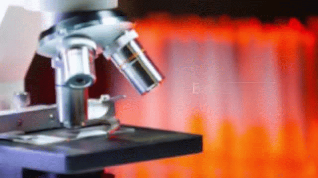 Nurugo Micro : Discovery begins with Nurugo Micro!