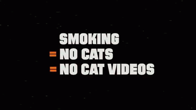 Truth Commercial 2016 CATmageddon Funny Cats