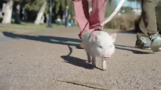 Two Confident Retirees Prepare for Their Retirement - Chase