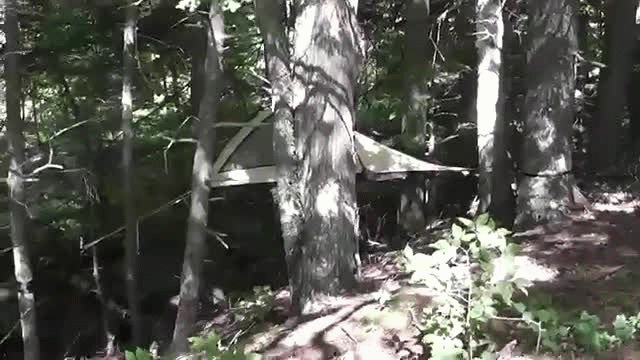 Treez Tree Tents-The Aelph Alpha Treez Tree Tents-The Aelph Alpha