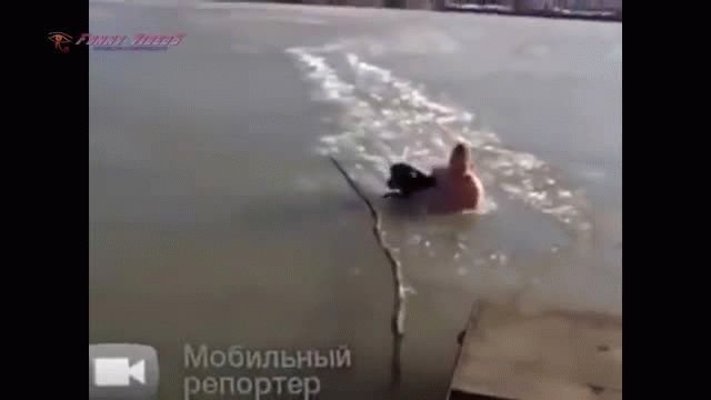 Real Life Heroes Good People Compilation