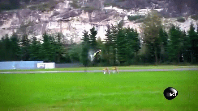 How Are These Incredible RC Helicopter Stunts Possible?