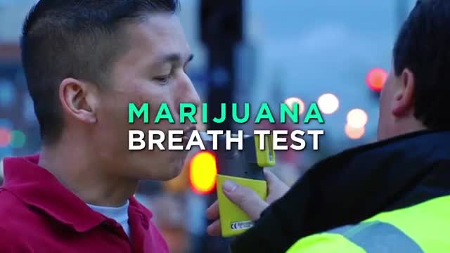 Weed News - Marijuana Breath Test Weed News - Marijuana Breath Test