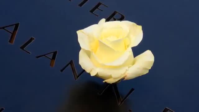 9-11 Sounds of Silence Tribute by Steve A. (Disturbed) 9-11 Sounds of Silence Tribute by Steve A. (Disturbed)