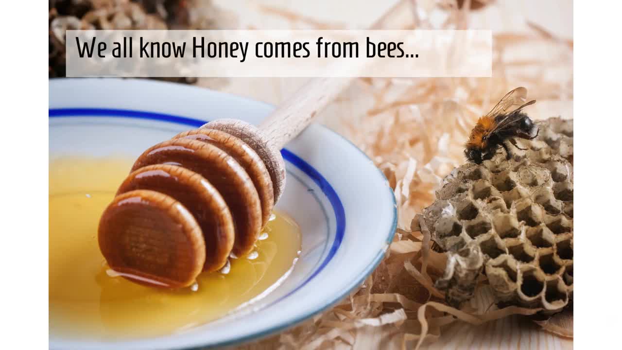 Why Bee Free Honee