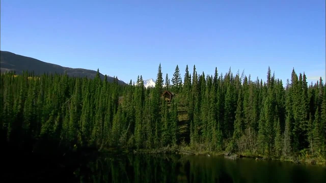 Mountain House - Home Away From Home Mountain House - Home Away From Home