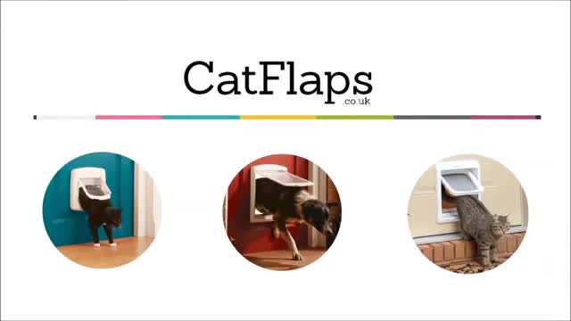 PetSafe Passport Selective Electronic Dog Door