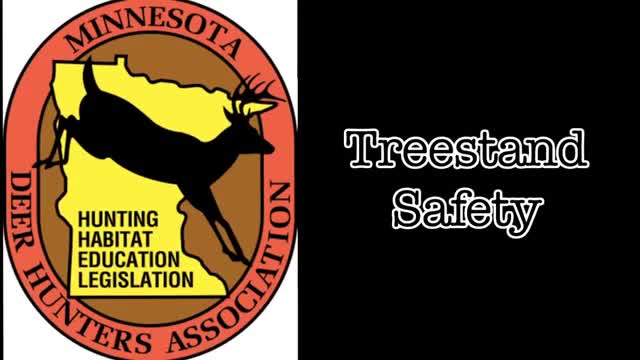 Tree Stand Safety