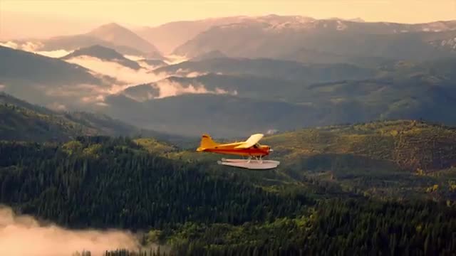 It's In Your Nature - Finally It's In Your Nature - Finally