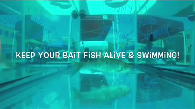 Hook, Line & Threader Keep your bait alive Hook, Line & Threader Keep your bait alive