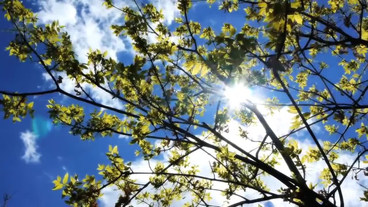 Perspective on Death