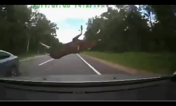 Dash Cam Pro-HD Car video1 Dash Cam Pro-HD Car video1