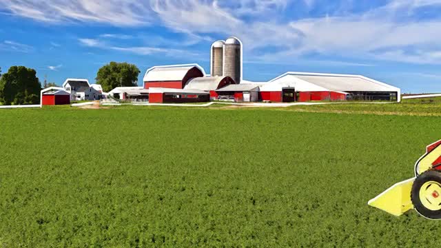 The Story Behind Bobcat Paint