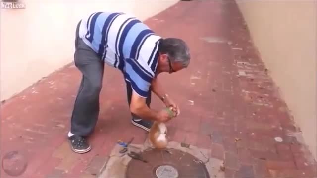 10 True Stories That Will Restore Your Faith In Humanity. 10 True Stories That Will Restore Your Faith In Humanity.