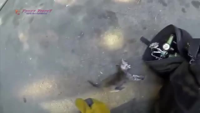 Real Life Heroes Good People Compilation