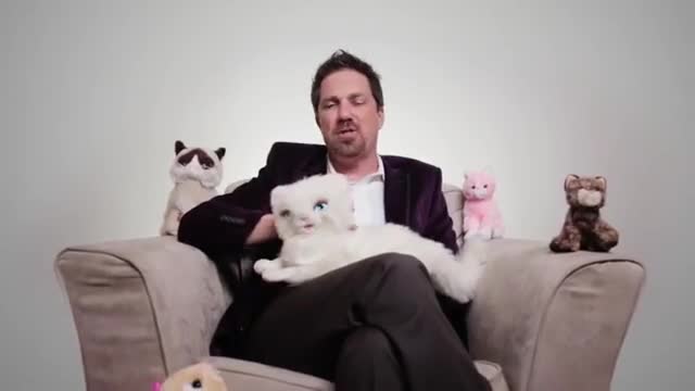 Stop The Cat Madness - Funny Feral Cat PSA Stop The Cat Madness - Funny Feral Cat PSA