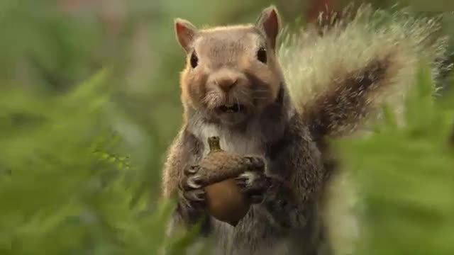 So good, it’s beyond nuts.