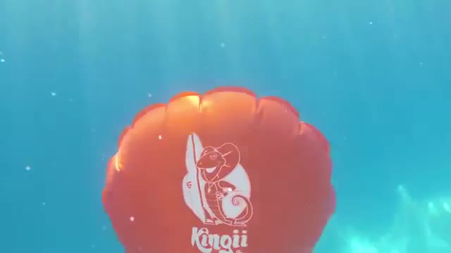 Kingii - The New Standard in Water Safety Kingii - The New Standard in Water Safety